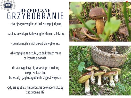 Bezpieczne grzybobranie