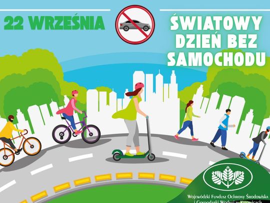 Nadal wolimy samochody od czystego powietrza