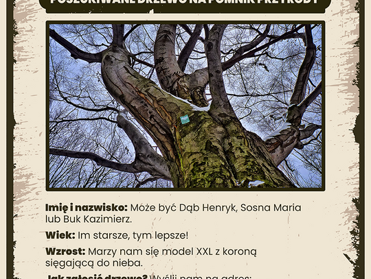 Szukamy nowych pomników przyrody