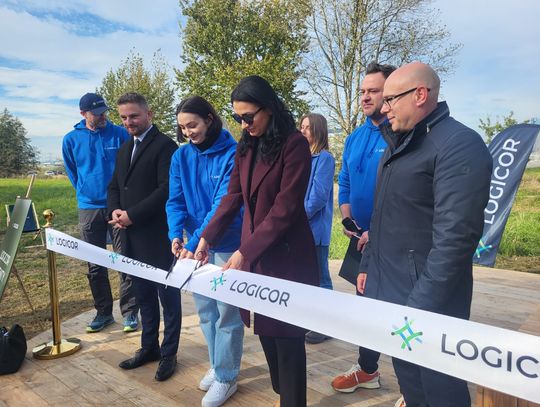 Zielona enklawa w przemysłowej strefie