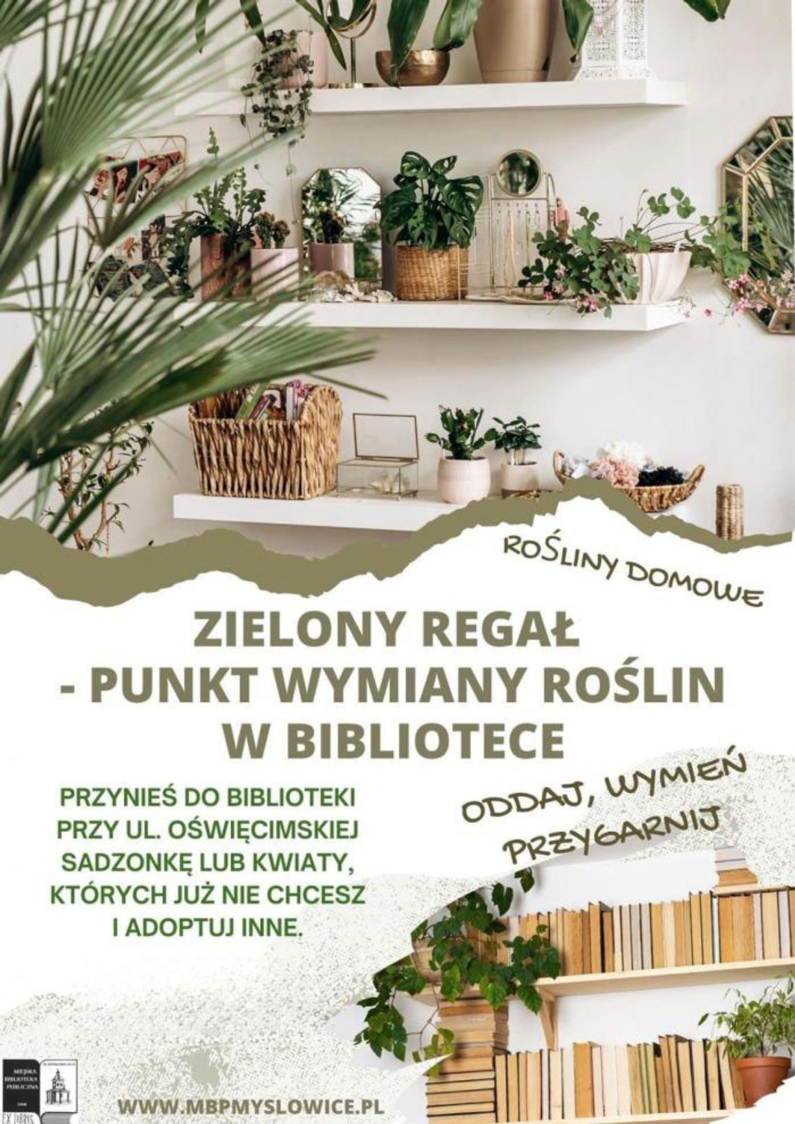 Adoptuj lub podziel się roślinką!