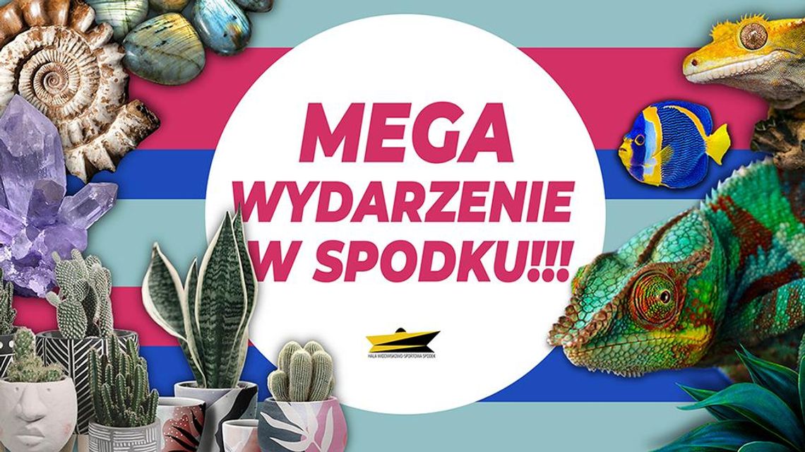 Jeden weekend i aż trzy niezwykłe wydarzenia w Spodku! Zwierzęta, rośliny, minerały!