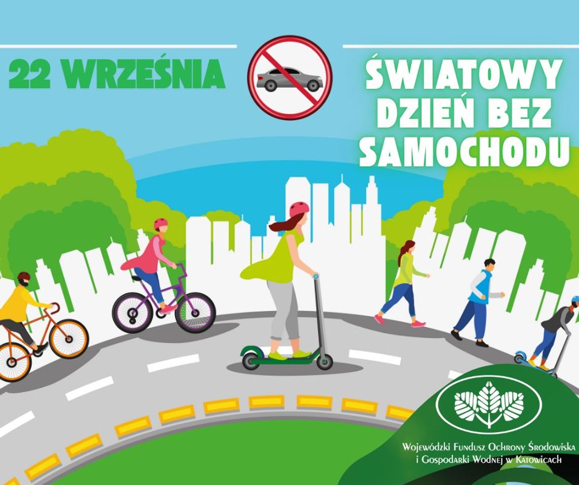 Nadal wolimy samochody od czystego powietrza