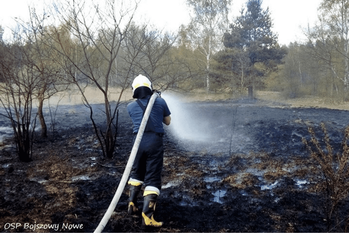 Pamiętajmy! Wypalanie traw jest zabronione i szkodzi środowisku.