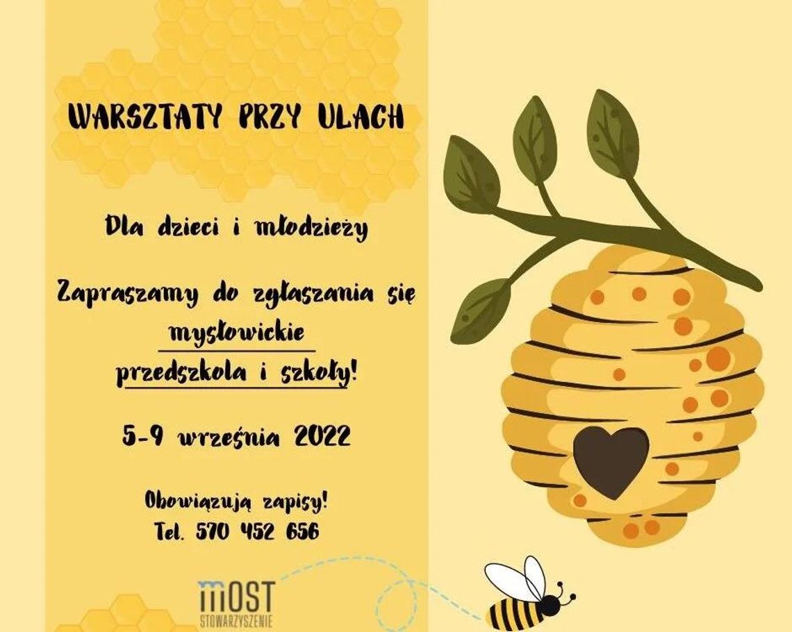 Śląsk miodem płynący…