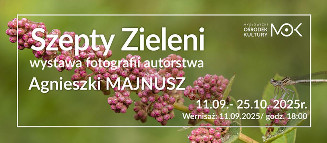 „Szepty zieleni” – wystawa fotografii Agnieszki Majnusz w Galerii Małej